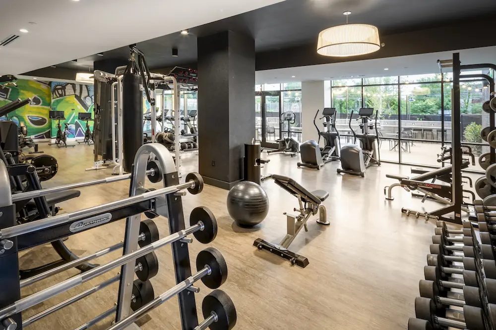 The Irvine fitness space — image 7